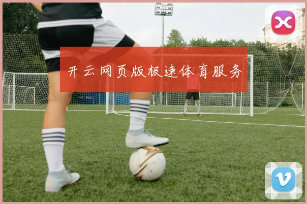 开云网页版极速体育服务