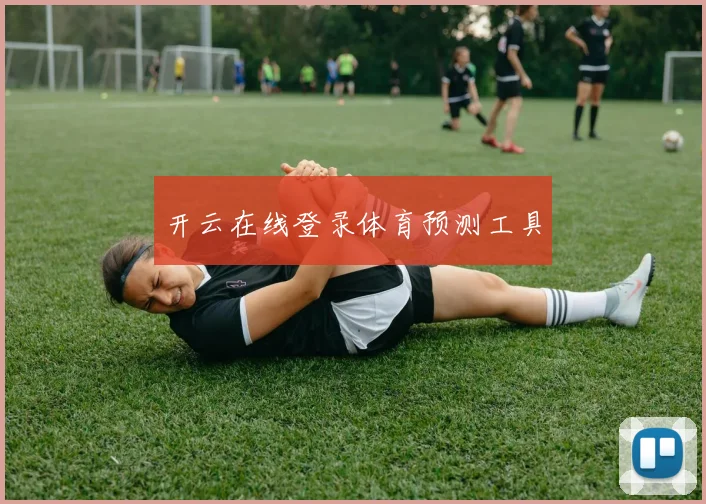 开云在线登录体育预测工具