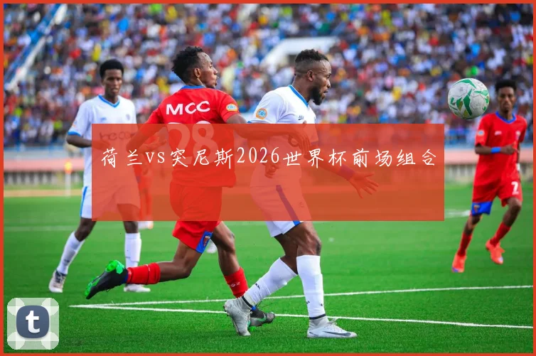 荷兰vs突尼斯2026世界杯前场组合