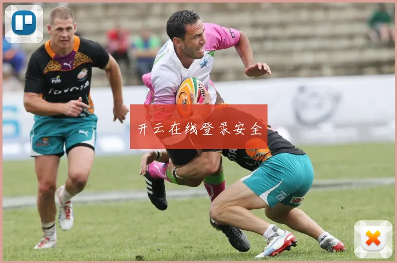 开云在线登录安全