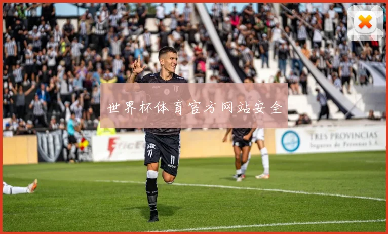 世界杯体育官方网站安全