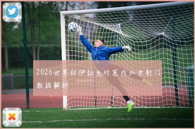 2026世界杯伊拉克对塞内加尔射门数据解析