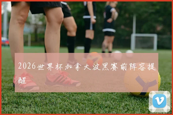 2026世界杯加拿大波黑赛前阵容提醒