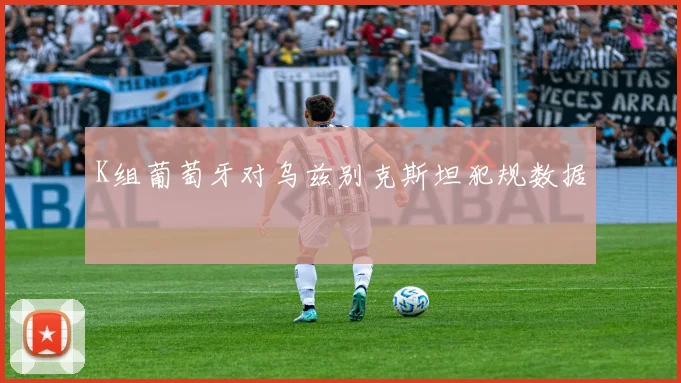 K组葡萄牙对乌兹别克斯坦犯规数据